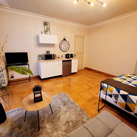 Superbe Appartement Calme Et Spacieux Graulhet Exterior photo